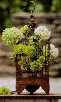 bird cage,  decor and  flowers