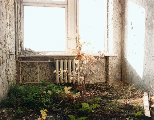 abandoned, decay and garden