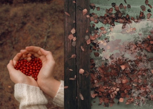 autumn, berries and hands