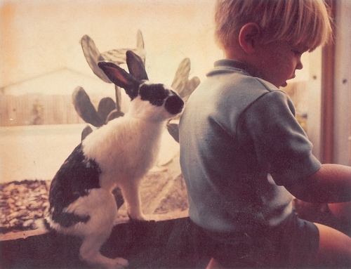 baby, blond and bunny