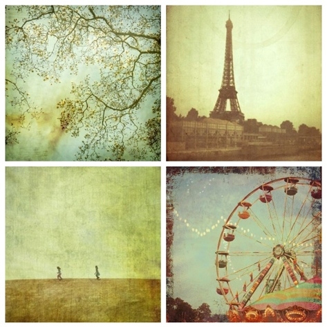 big wheel, branches and eiffel tower