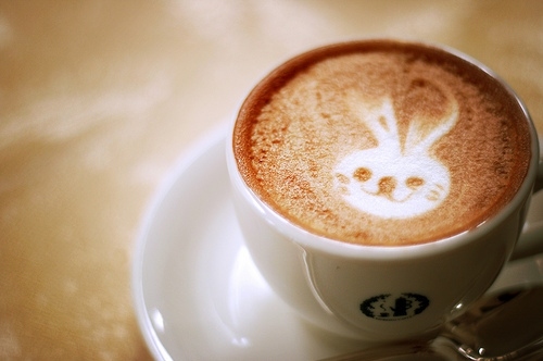 bunny, coffee and cute