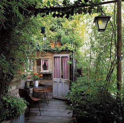 backyard,  door and  garden