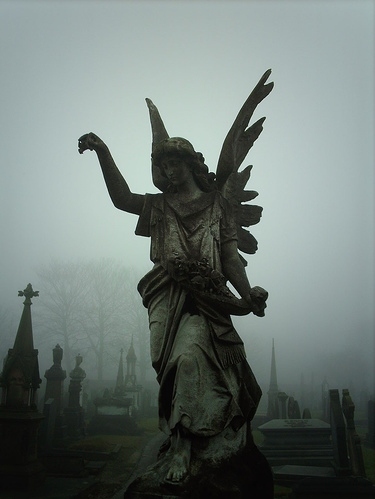 angel, cemetery and fog
