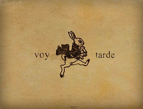 alice in wonderland, illustration and rabbit