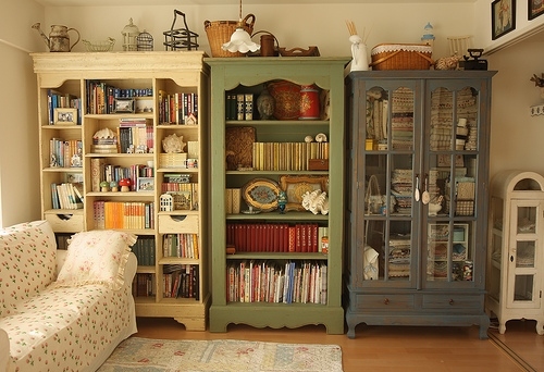 bookcase, books and cabinet
