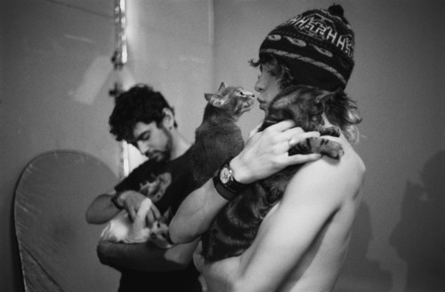 adorable, andrew vanwyngarden and band