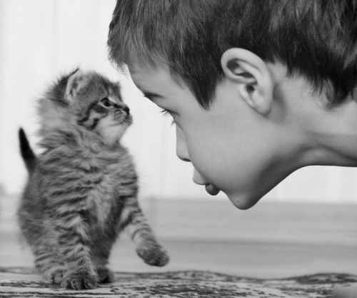 animals, black and white and boy