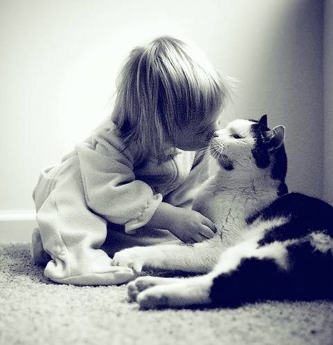 cat, child and cute