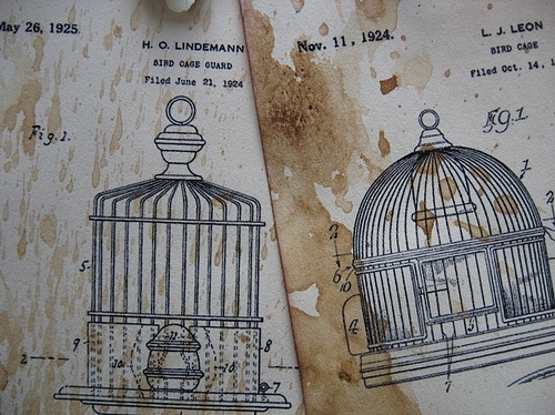 antique, bird cage and birdcage