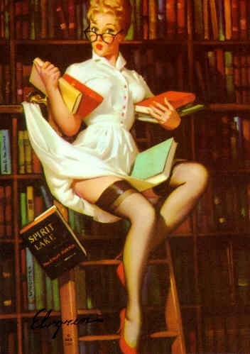 bitch, bookcase and books