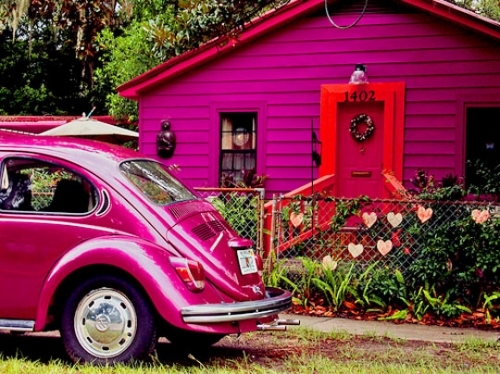 beetle, car and heart