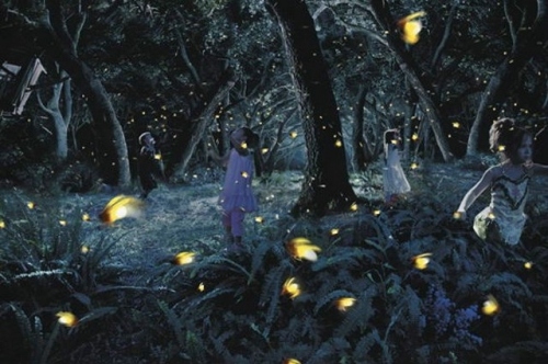 ethereal, fireflies and kids