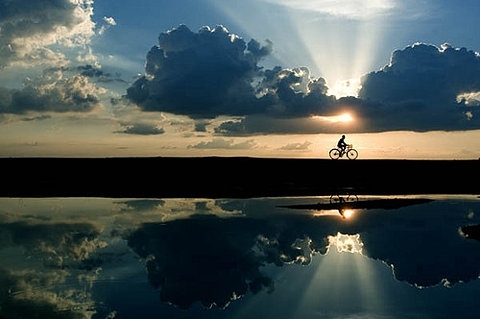 aliiine,  bicycle and  bike