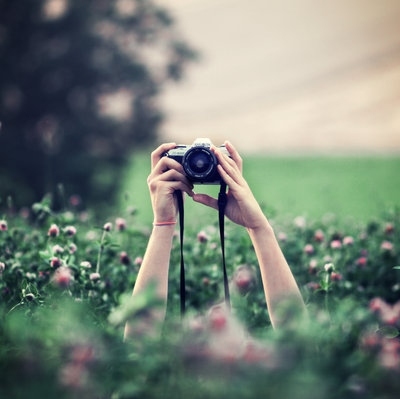 camera, cameras and flower