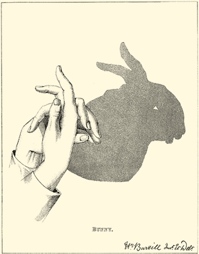 bunnies, bunny and hands