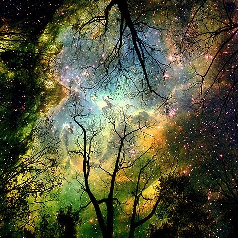 galaxy, nature and night