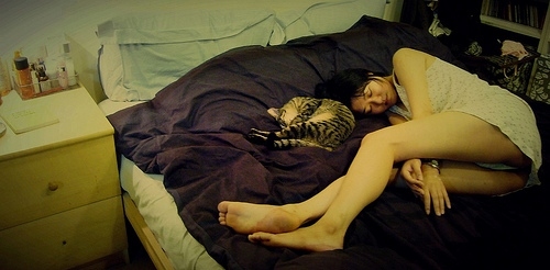 bed,  cat and  cute japanese