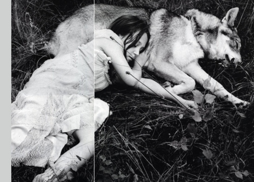 Girl And Wolves