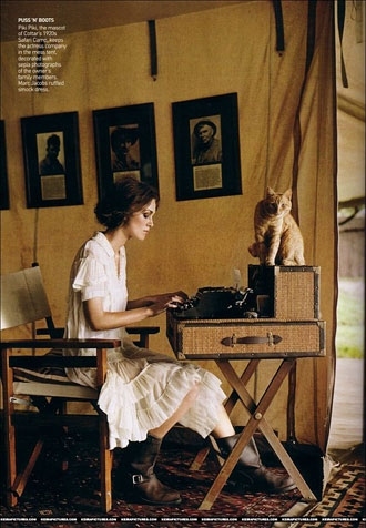 cat, colonial chic and editorial