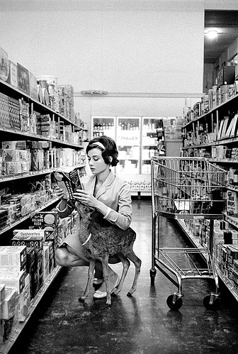 aisle, animals and audrey
