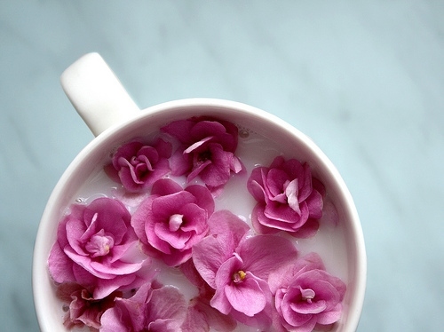 coffee, cup and flowers