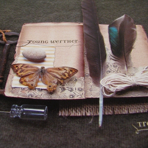 book, butterfly and feathers