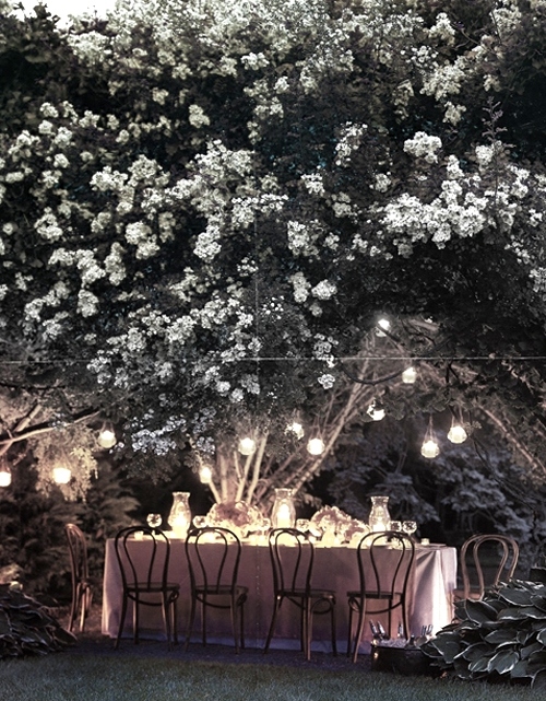candles, canopy and flowers