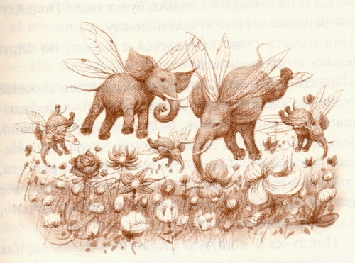 alice, elephants and illustraation
