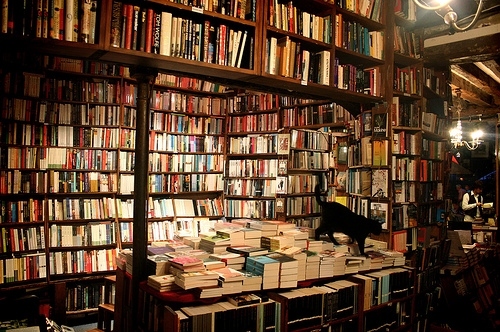 books, bookshop and bookstore