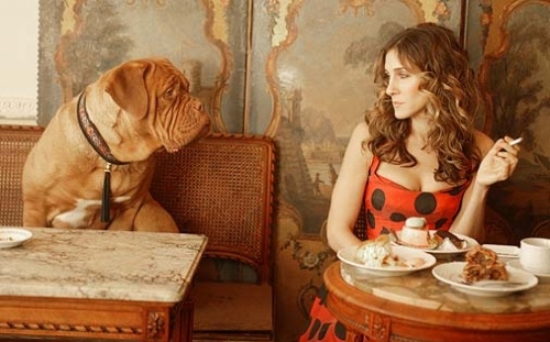 carrie bradshaw,  dog and  french