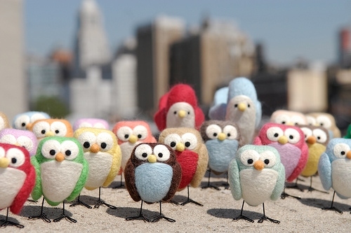 birds, city and colorful