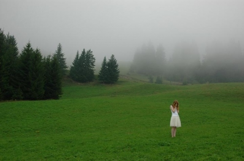 field, fog and girl