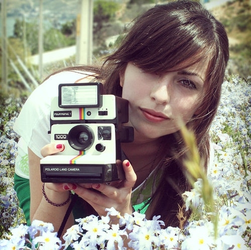 camera, cameras and flowers