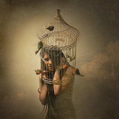 bird cage, birds, cage, fear, girl, horror