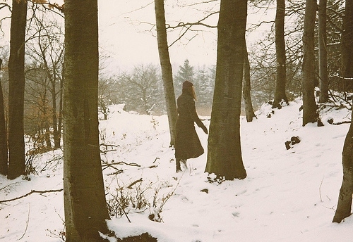 cold, forest and girl