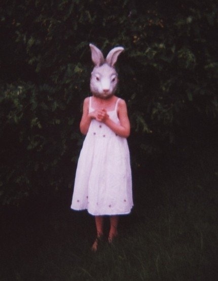 bunny, bunny ears and bunny mask