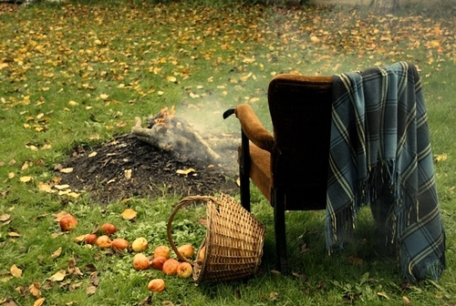 apples, autumn and basket
