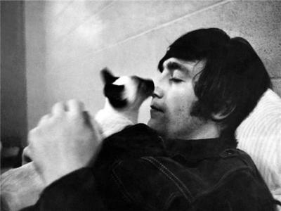 beatles,  black and white and  cat