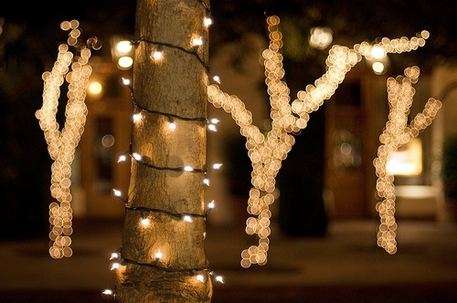 christmas, christmas lights and decorations