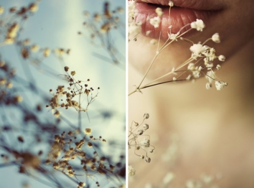 babys breath, collage and ethereal