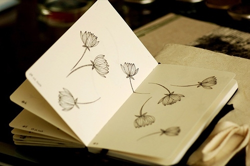 botannica, drawing and flowers
