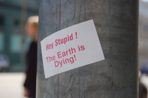 dumb, earth and environmentalism