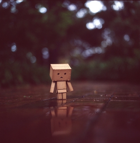 boxx, danbo and depth of field