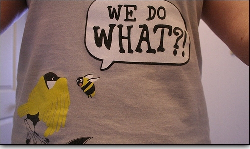 amusing,  bees and  birds