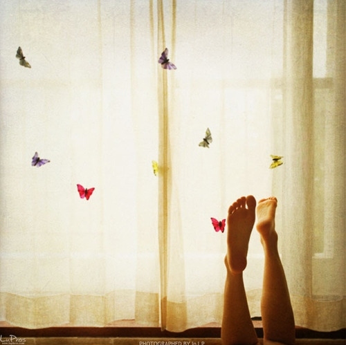 butterflies, curtain and decor