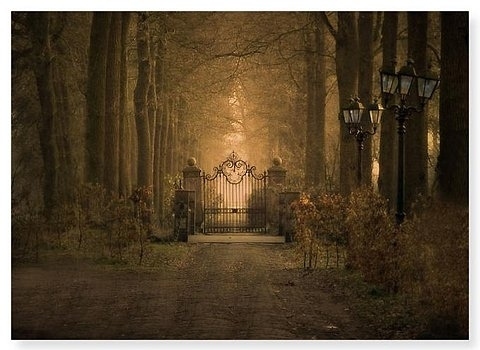 entrance, ethereal and fairytale