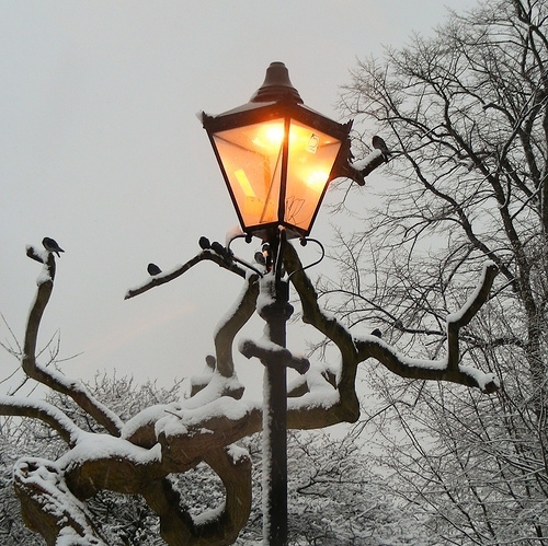 branches, lamp, lamp post, lamppost, narnia, snow