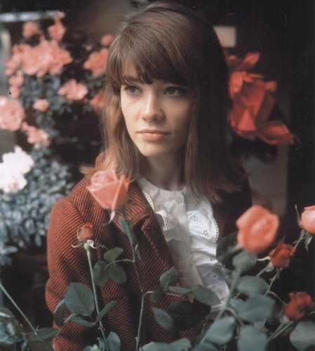 flowers, francoise hardy and french