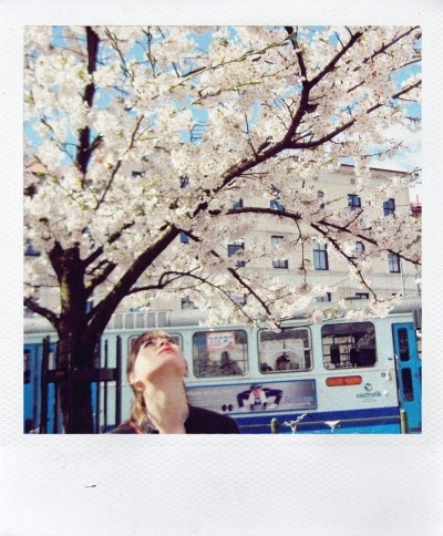 girl, photography and pink cherry blossoms